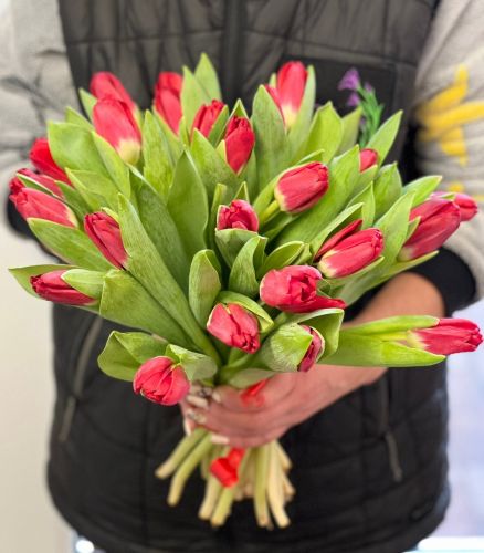 Купить букет из красных тюльпанов "Сабрина" с доставкой по Волгодонску
